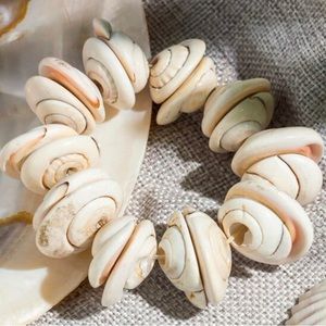 Mermaid Money Shiva Eye Shell Operculum Cat Eye Spiral Sea Snail Adjust Bracelet